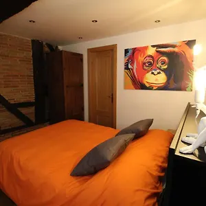 Monkeys House. Vitoria